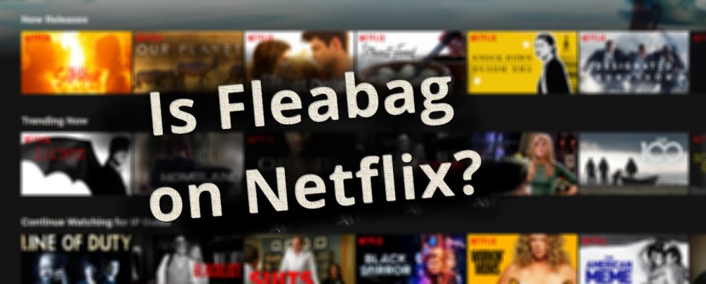 Is Fleabag on Netflix?