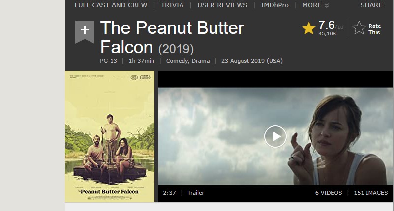 the peanut butter falcon on netflix