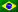 Portugisisk (Brasil)